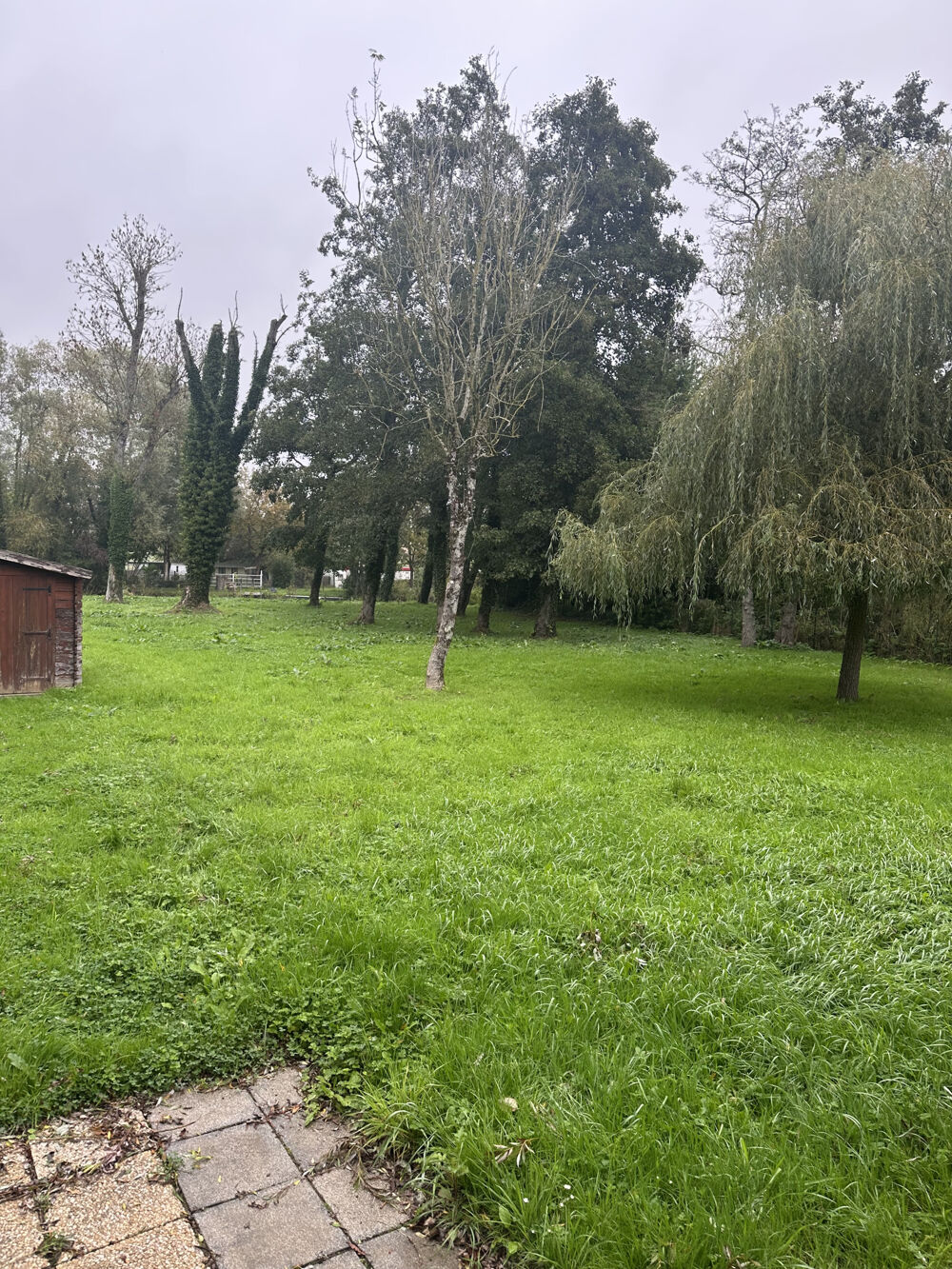 Vente Chalet PROPRIETE MARAIS DE BRIMEUX Brimeux