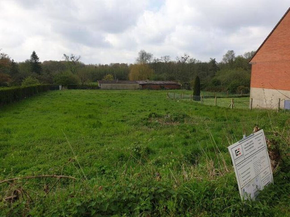 Vente Terrain TERRAIN A BATIR DERNIERE OPPORTUNITE ! Marles sur canche