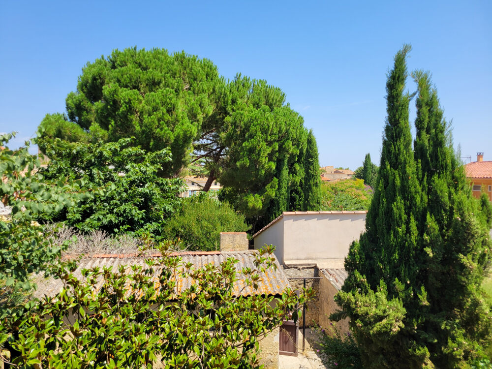 Vente Maison Maison de village à fort potentiel Ginestas