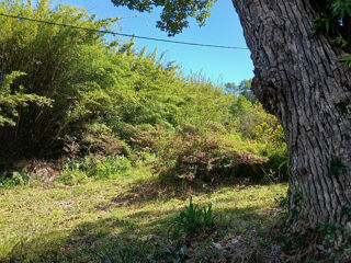  Terrain à vendre 869 m²