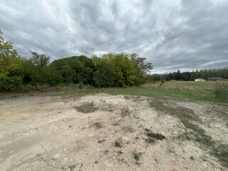  Terrain à vendre 910 m²