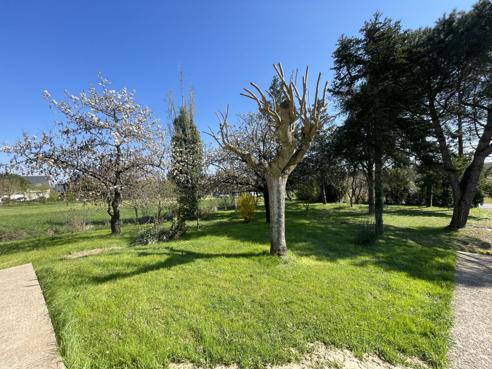 Maison à rénover à Soulaines-sur-Aubance, à 15 minutes dAngers