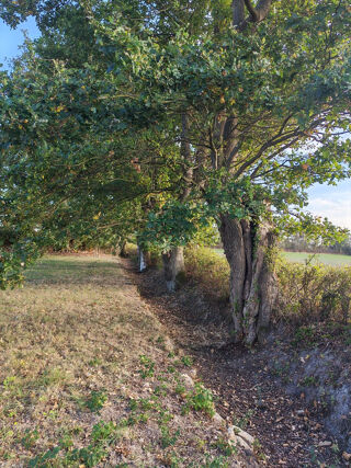 Vente Terrain Terrain de loisir de 1183 m2 Saint Ouen des Vallons Montsurs