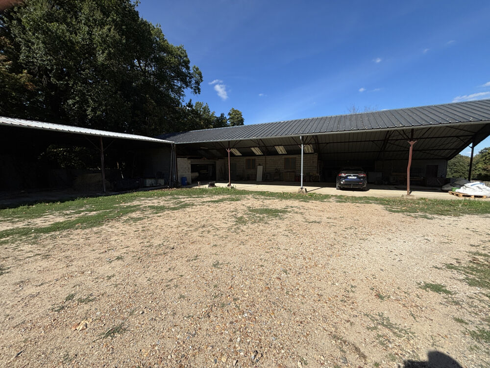 à vendre  Propriété/château Seiches-sur-le-Loir (49140)