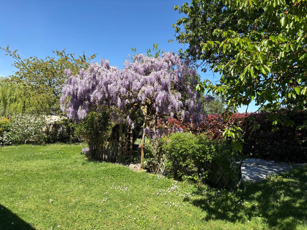 Vente Maison A 10 mn d'Angers Agréable et Lumineuse Maison Cantenay epinard
