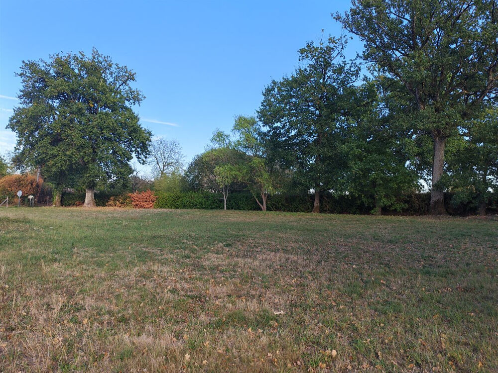 Vente Terrain Terrain de loisir de 1183 m2 Saint Ouen des Vallons Montsurs
