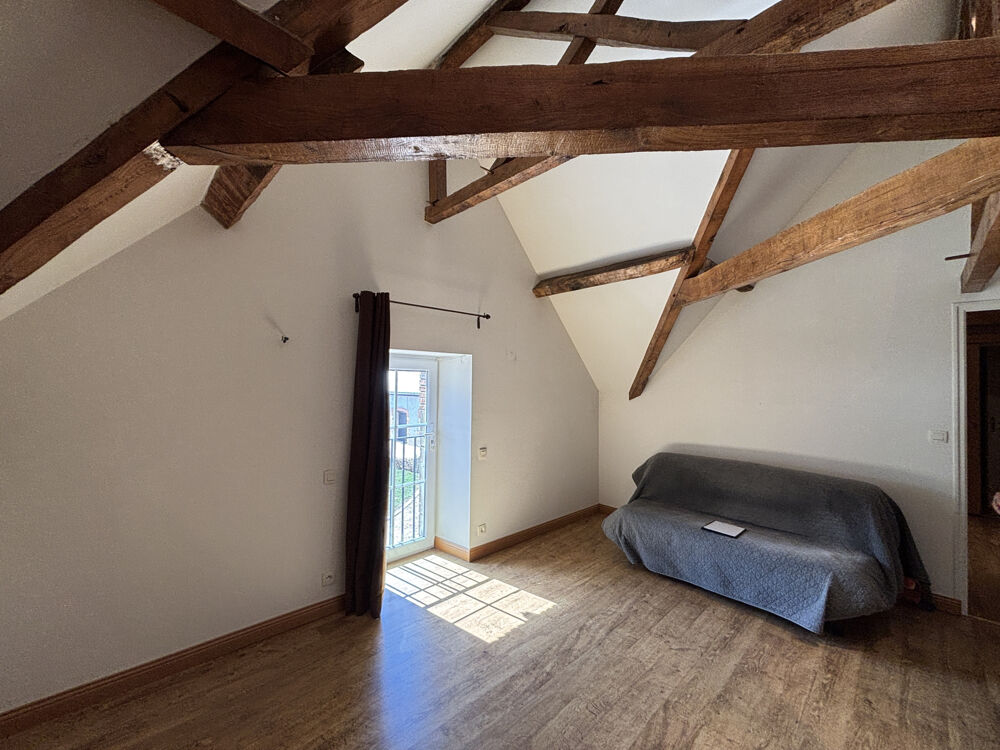 à vendre  Propriété/château Seiches-sur-le-Loir (49140)