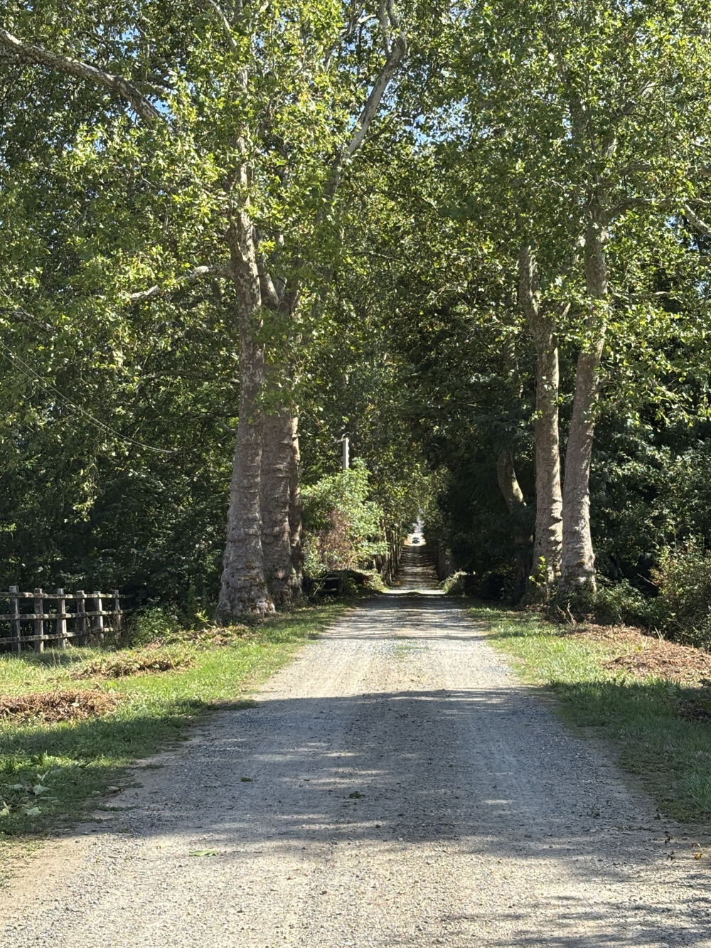 à vendre  Propriété/château Seiches-sur-le-Loir (49140)