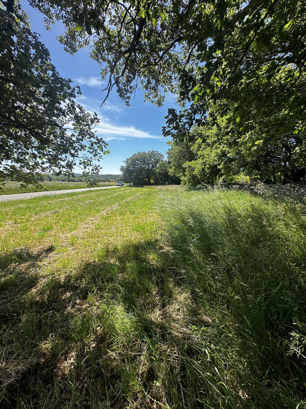 Vente Terrain TERRAIN AGRICOLE DE 1232 M2 MONTJOYER Montjoyer