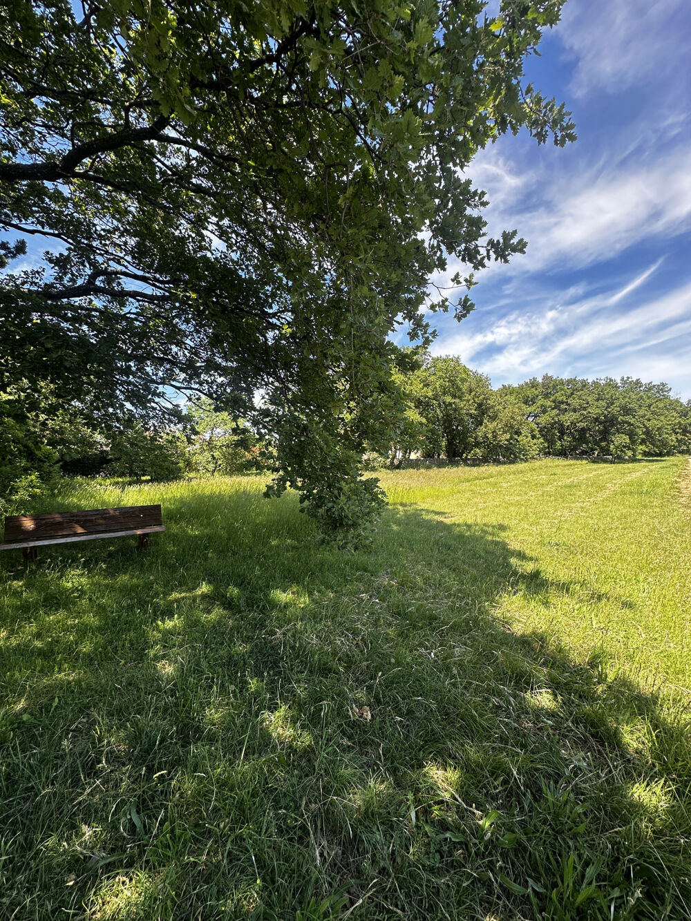 Vente Terrain TERRAIN AGRICOLE DE 1232 M2 MONTJOYER Montjoyer