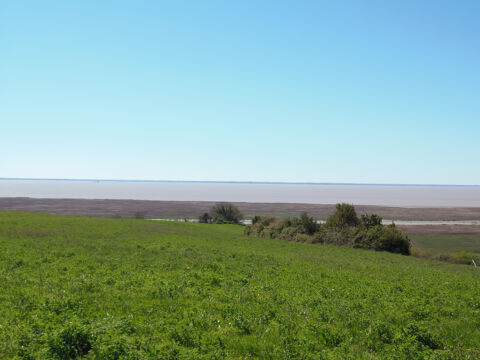   Maison atypique avec vue imprenable sur l'estuaire de la Gironde Maison - 5 pi�ce(s) - 161 m�
