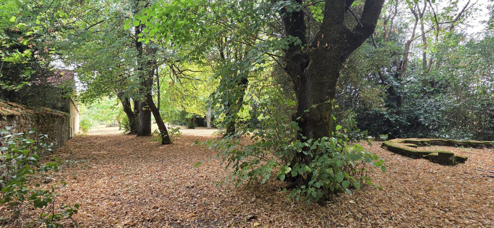 MAISON DE MAITRE, 400 M2, 190 M2 DÉPENDANCES, PARC 7 000 M2