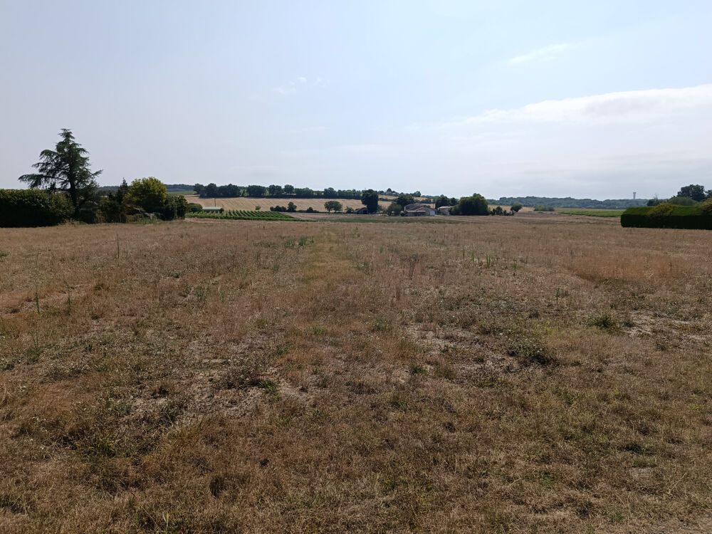 Vente Terrain Terrain constructible non viabilisé 9069 m2 proche Estuaire de la Gironde à St Ciers du Taillon St ciers du taillon