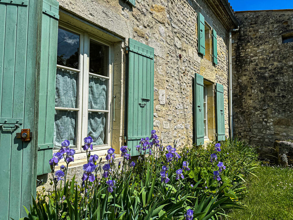 � vendre  Propri�t�/ch�teau Saint-Germain-du-Seudre (17240)