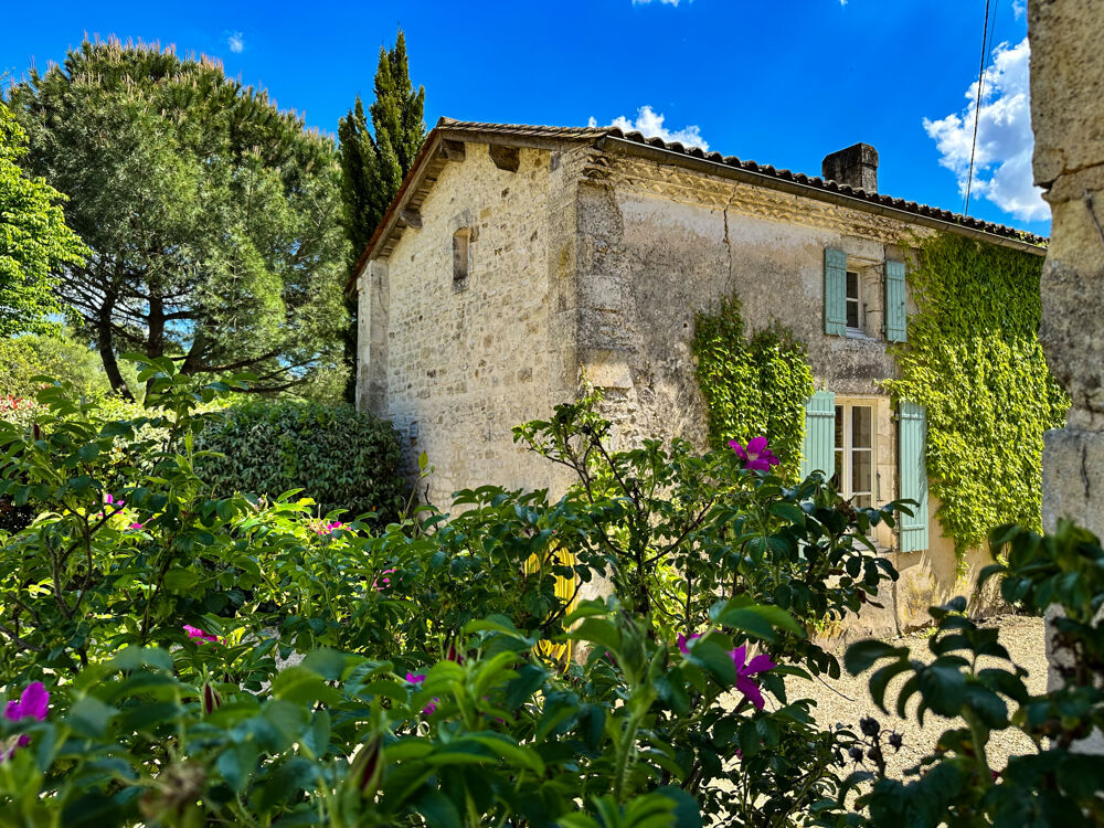 � vendre  Propri�t�/ch�teau Saint-Germain-du-Seudre (17240)