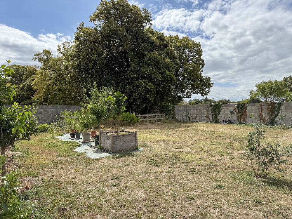 Vente Maison Bâtisse charentaise de 1750 à fort potentiel Cozes