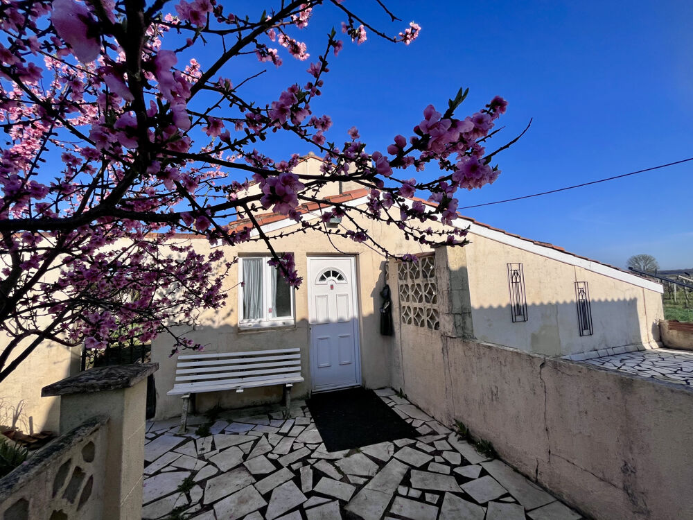Vente Maison MAISON 110 M2, LOGEMENT INDÉPENDANT, JARDIN 1667 M2 Brie sous mortagne