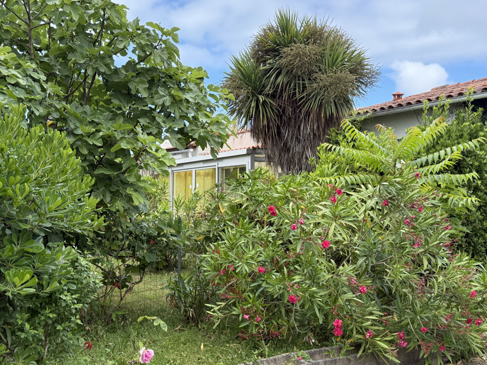 Vente Maison Spécial investisseur. Ensemble immobilier proche plage St georges de didonne