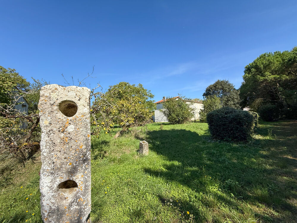 Vente Maison Maison 160 m2, 4 ch, d�pendances, terrain 2000 m2 St quantin de rancanne