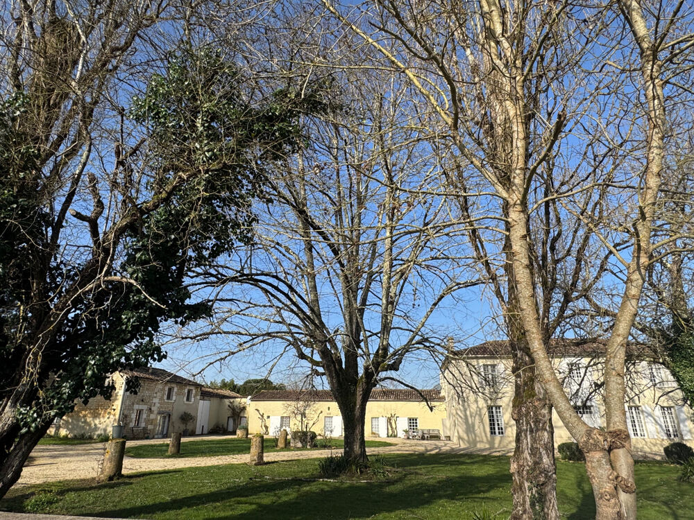 � vendre  Maison Saint-Sigismond-de-Clermont (17240)
