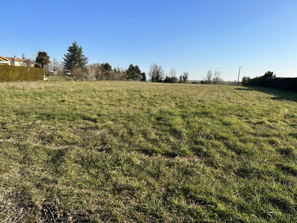 Vente Terrain Terrain à bâtir d'environ 2430 m2 Mortagne sur gironde