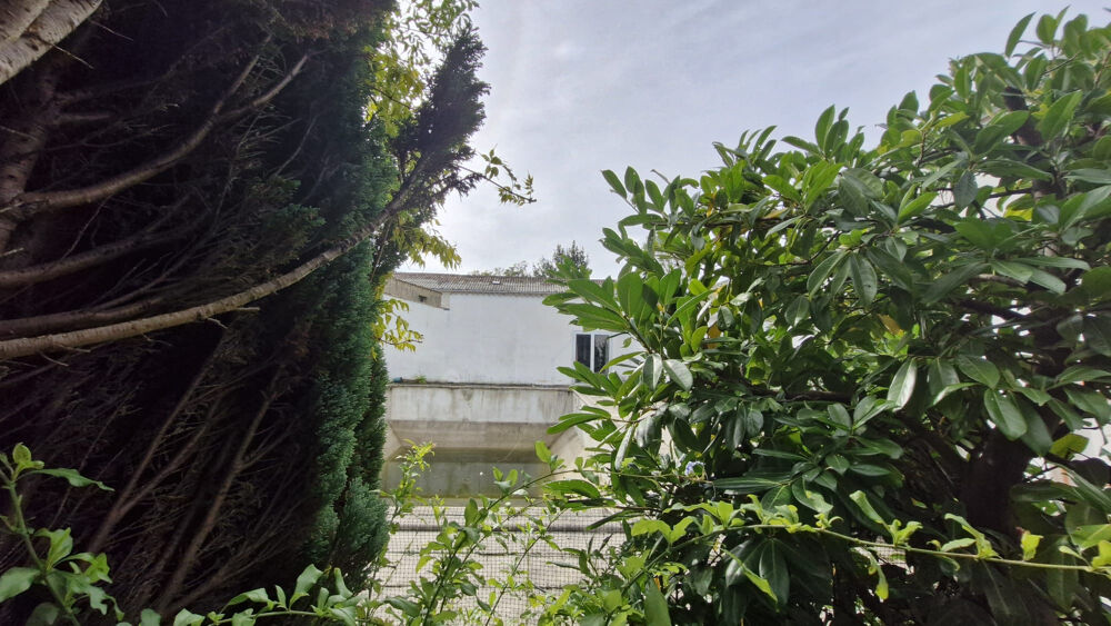 Vente Maison Maison en pierre 324 m2, 5 ch, jardin, piscine Mortagne sur gironde