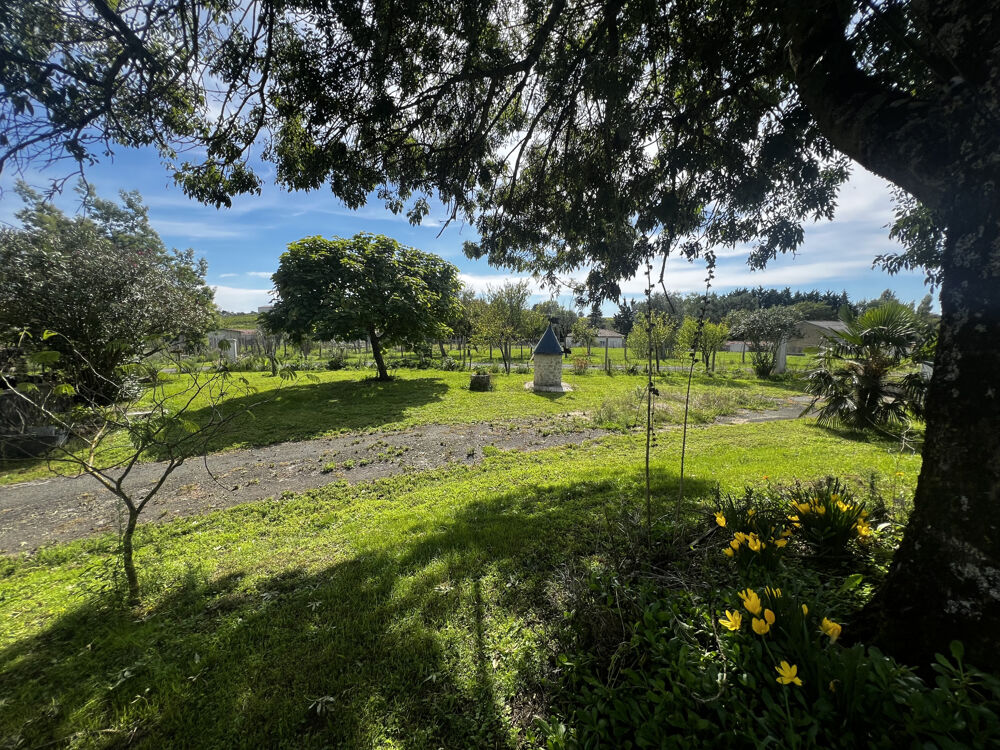 Vente Maison Ensemble de deux Maisons totalisant 335 m2 de plain pied sur terrain de 22971 m2 Mirambeau