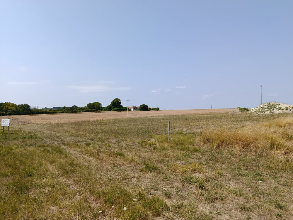 Vente Terrain Terrain constructible entre Mirambeau et Montendre St ciers du taillon