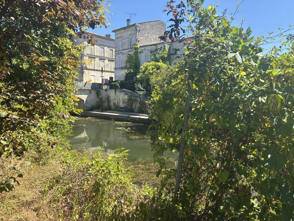 Vente Maison RARE, SUPERBE BATISSE AU COEUR DE JONZAC AVEC JARDIN ET GARAGE Jonzac