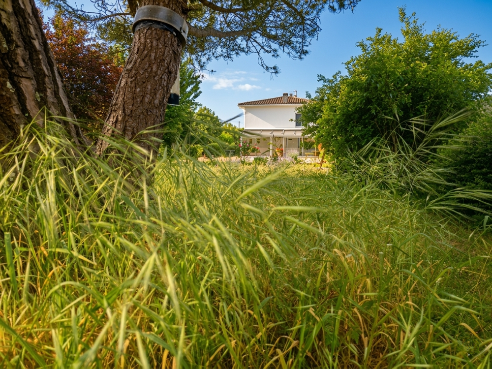 à vendre  Maison Saint-Palais-sur-Mer (17420)