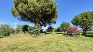Vente Maison Maison de 116m2 avec dépendances et ancienne distillerie proche de l'estuaire et des plages Chenac st seurin d uzet