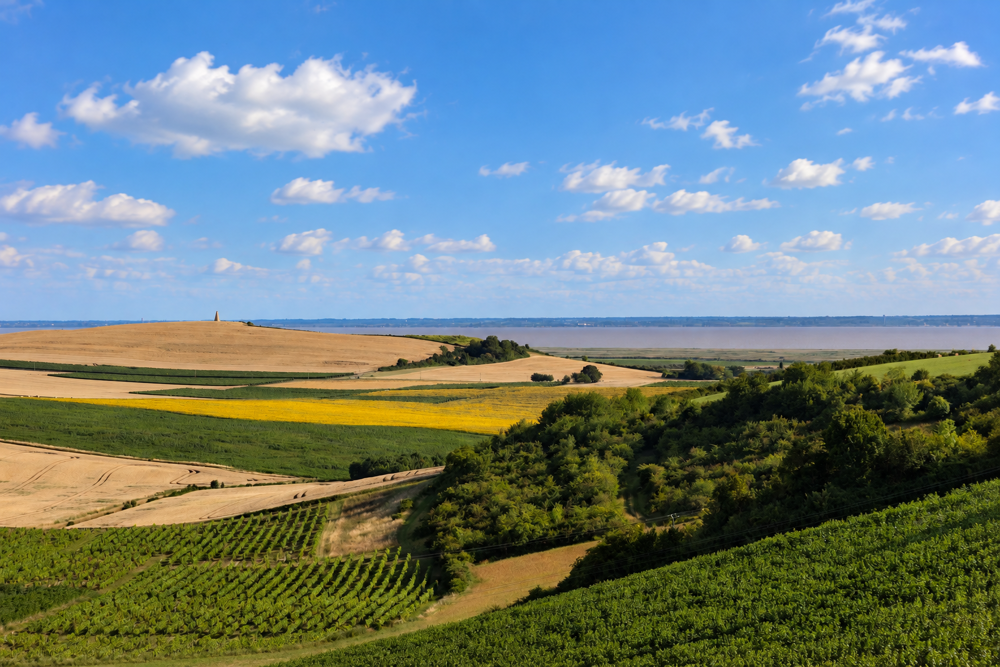 Vente Maison Vue magnifique sur l'estuaire pour cette authentique propriété viticole et ses grandes dépendances en pierres Floirac