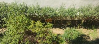  Appartement � vendre 1 pi�ce 18 m�