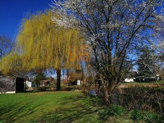  Maison � vendre 15 + pi�ces 250 m�