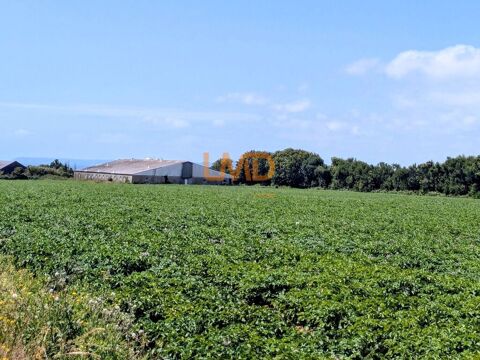   Ancienne Porcherie et Terrain Agricole 