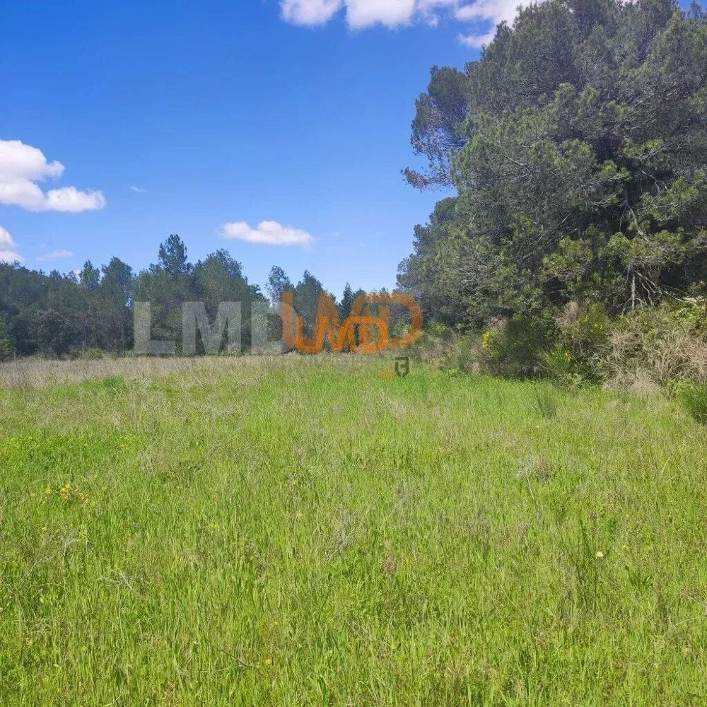 Vente Terrain Terrain Agricole et de Loisir - Nature et Espace vert Aigremont