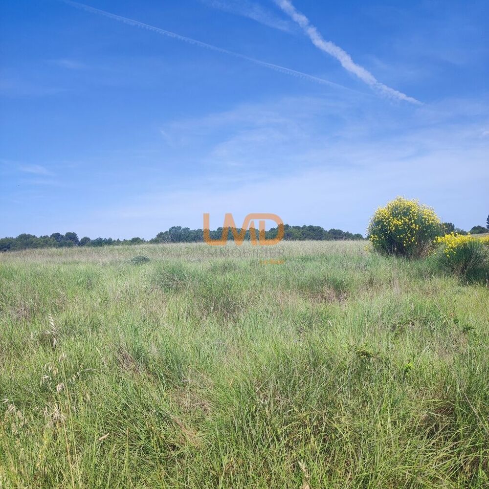 Vente Terrain Terrain Agricole et de Loisir - Nature et Espace vert Aigremont