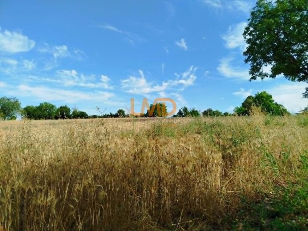 Vente Terrain Terrain naturel 5 297 m² à Martizay – 2 €/m² – Idéal loisirs & n Martizay