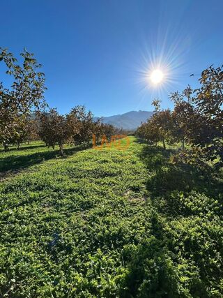  Maison � vendre 5 pi�ces 288 m�