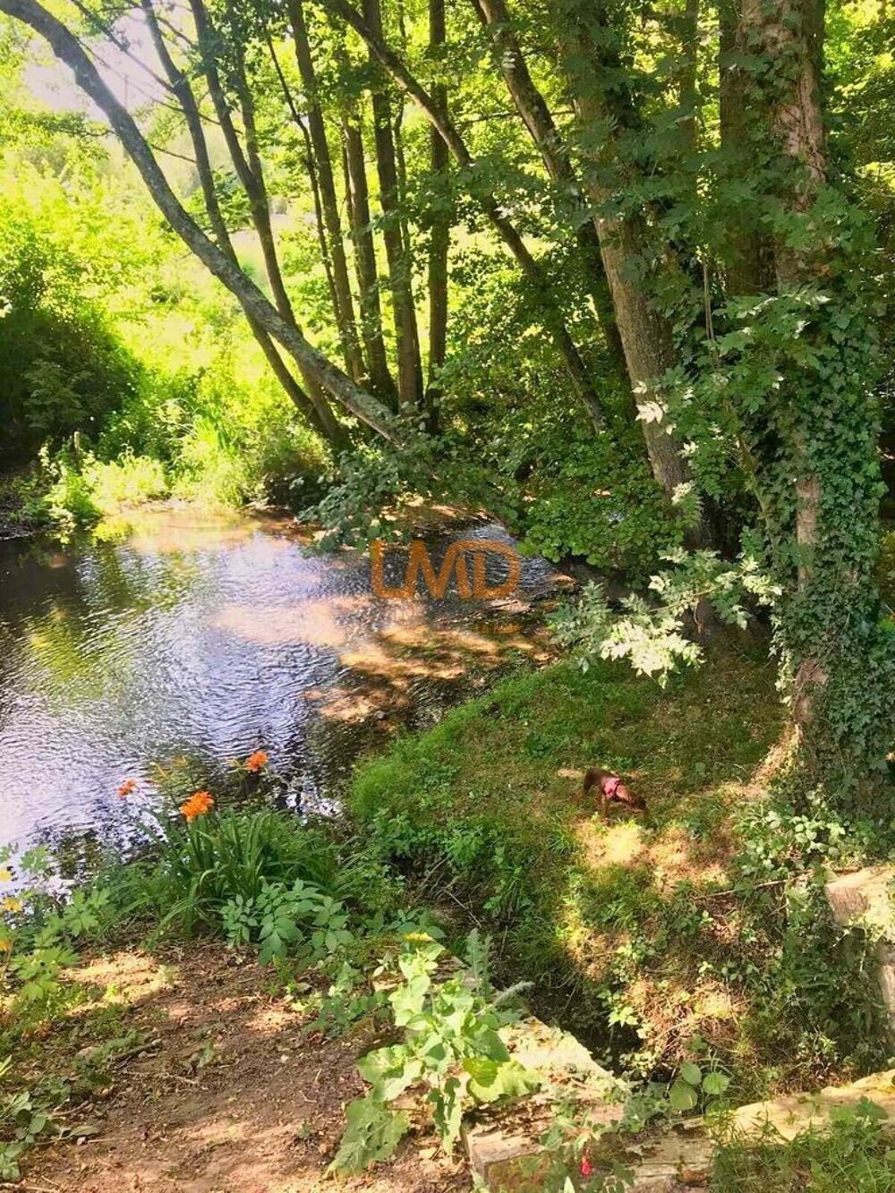Vente Maison propriété- 2 maisons  - dépendances - calme- 2h de Paris Choue