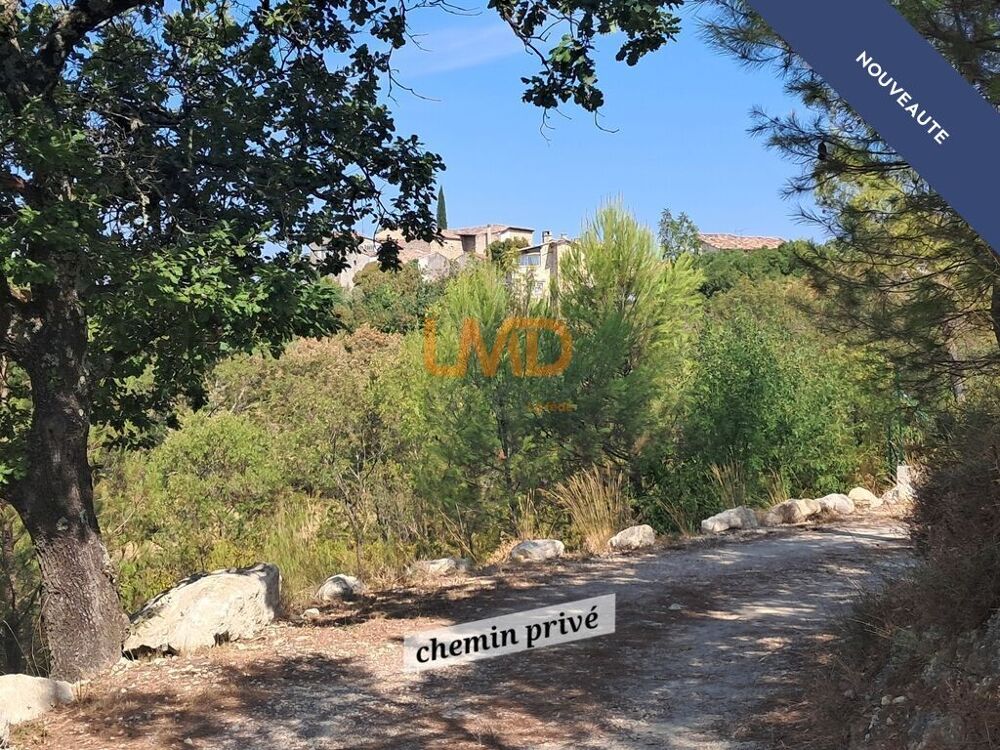 Vente Maison Maison de charme avec studio independent, 3000m2 de terrain bois Rousson
