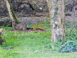  Maison � vendre 6 pi�ces 120 m�