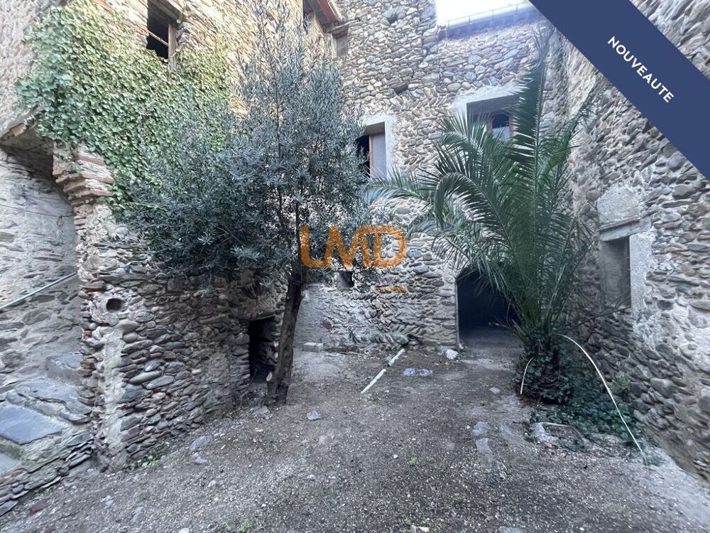 Vente Maison Ensemble immobilier 350 m2 avec patio et garage Bouleternère