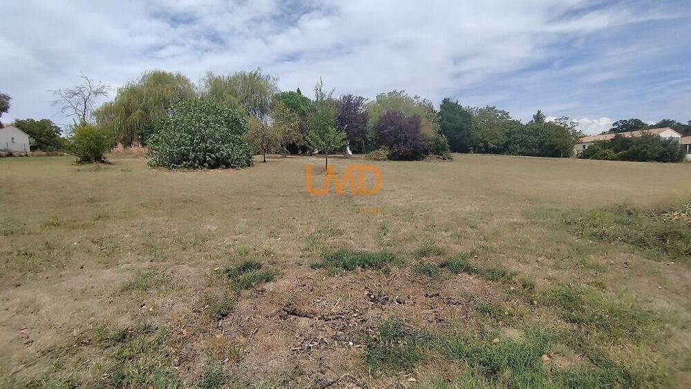 Vente Terrain Terrain constructible 5 000 m2 Caubiac