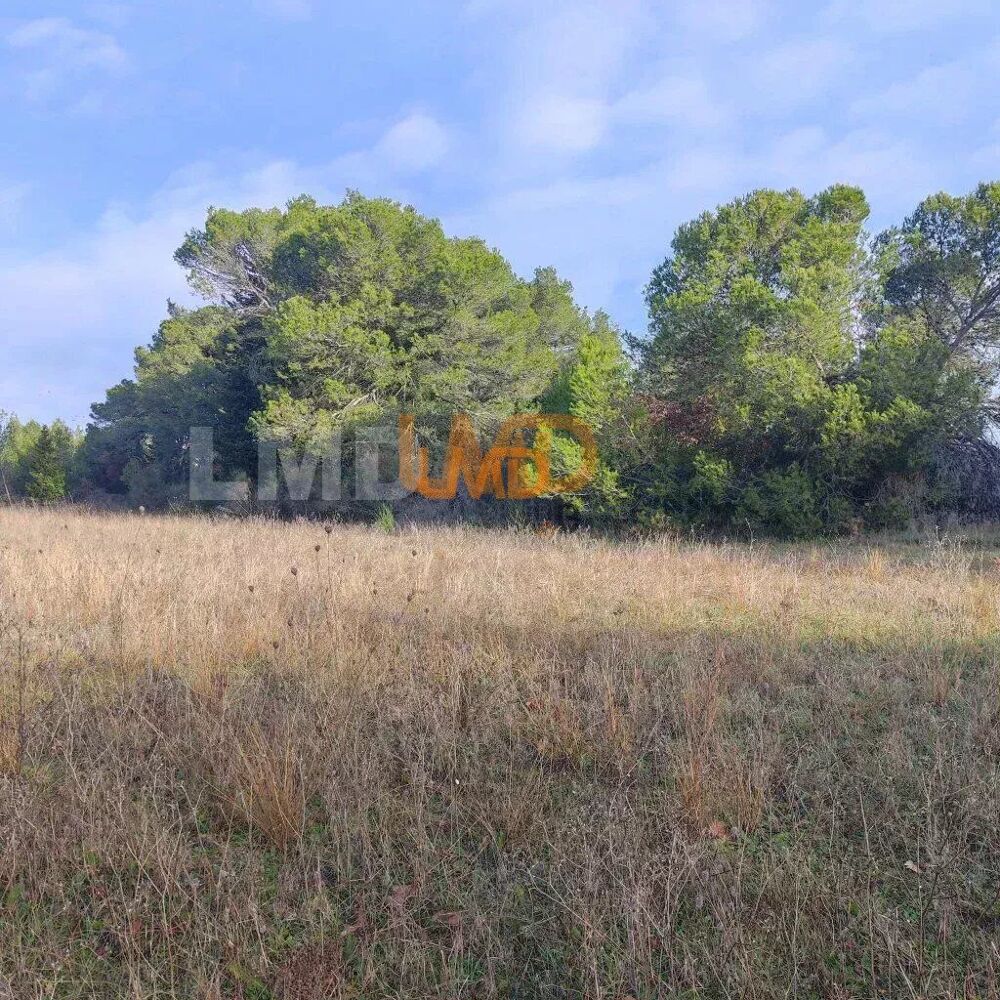 Vente Terrain Terrain Agricole et de Loisir - Nature et Espace vert Aigremont