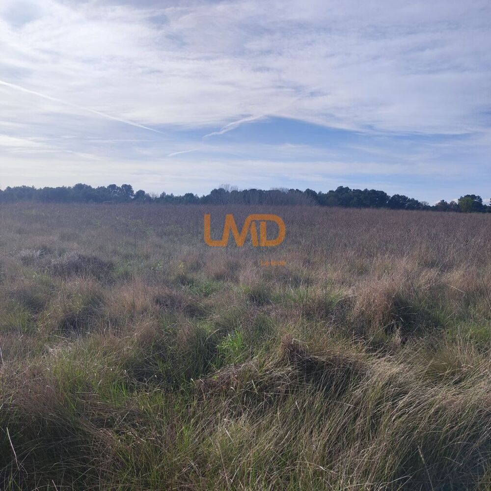 Vente Terrain Terrain Agricole et de Loisir - Nature et Espace vert Aigremont