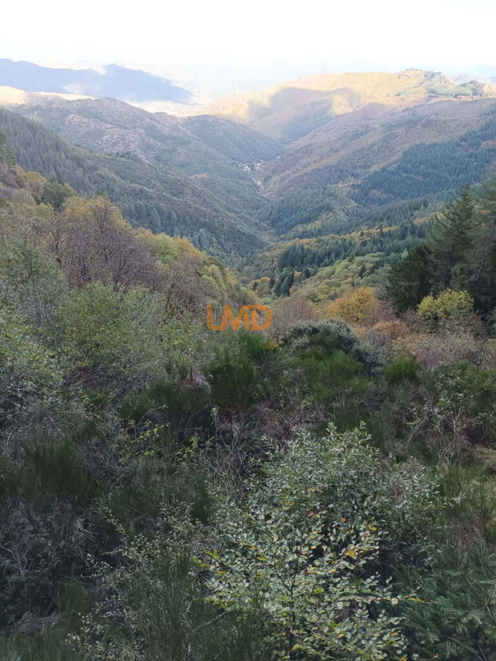 Vente Maison Mas Cévenol-là où la pierre rencontre la douceur de vivre.. Saint andre de valborgne