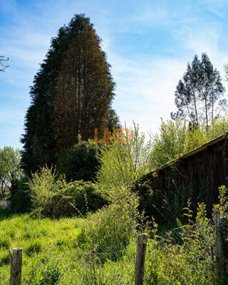 Terrain - 600 m², Saint-Paul