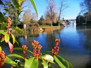  Maison � vendre 15 + pi�ces 250 m�