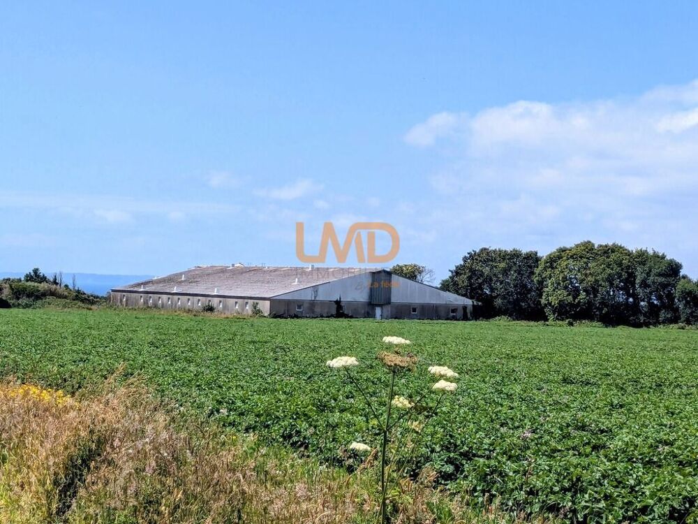   Ancienne Porcherie et Terrain Agricole 
